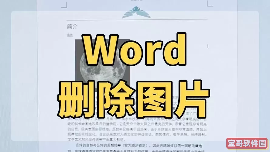 word如何去掉图片上的文字图2