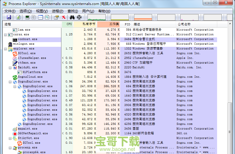 process explorer汉化版