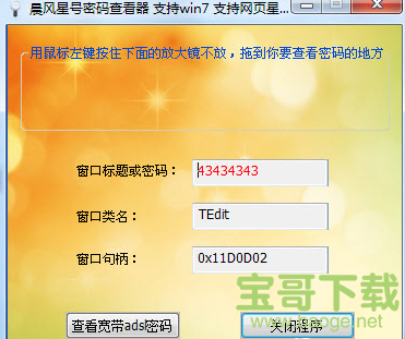 晨风星号密码查看器