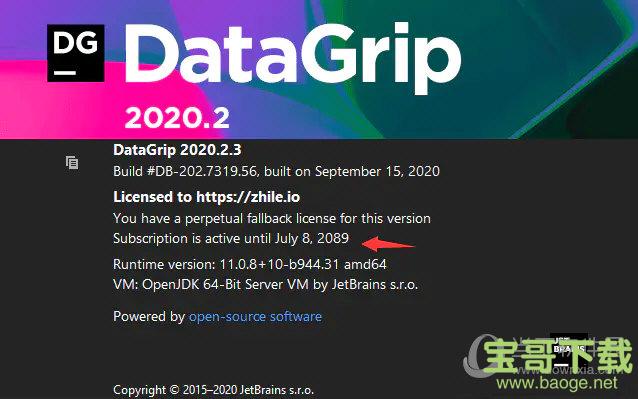 JetBrains DataGrip 2019.1.4 官方版