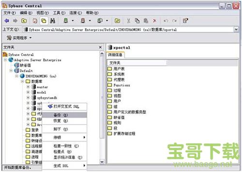 Sybase PowerDesigner(CASE工具集) 12.5 汉化破解版