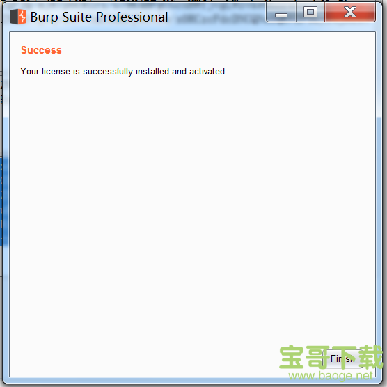 burpsuite