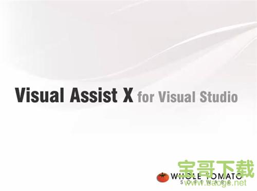 Visual Assist X下载