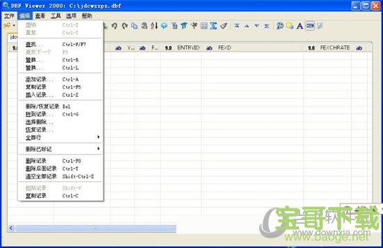 dbf viewer 2000中文破解版 (附注册码) v2.02