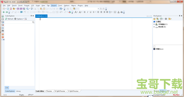 Rapid CSS2020破解版