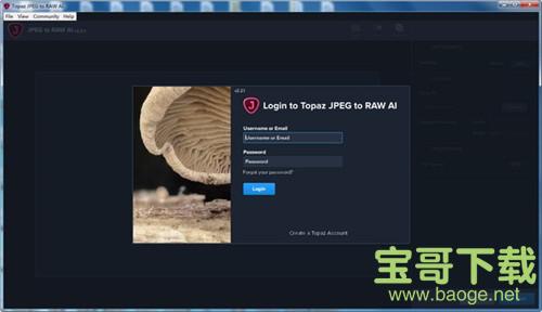 Topaz JPEGtoRAW AI下载