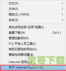 IE11浏览器