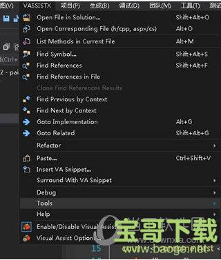 Visual Assist X V10.9.2074 特别版