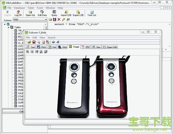 DB2LobEditor下载
