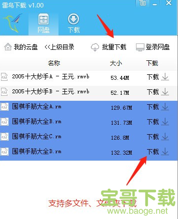 雷鸟下载器