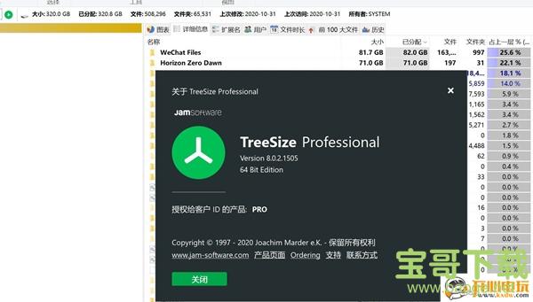 treesize professional(磁盘管理软件)  v6.2.3 绿色中文版