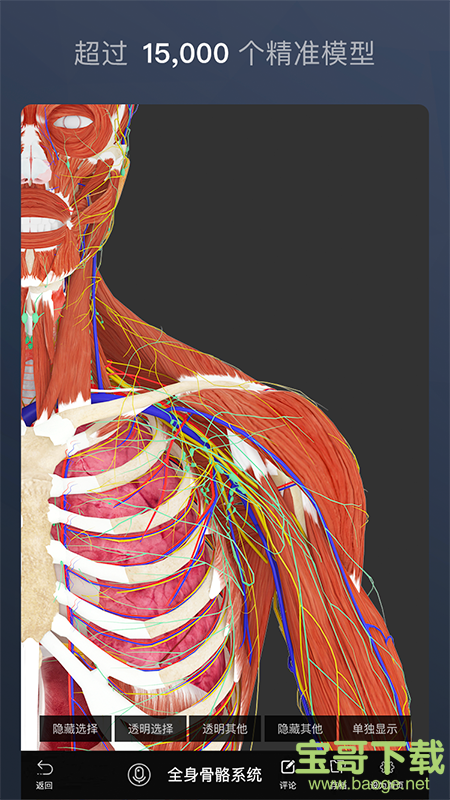 维萨里3D解剖手机免费版 v4.7.0