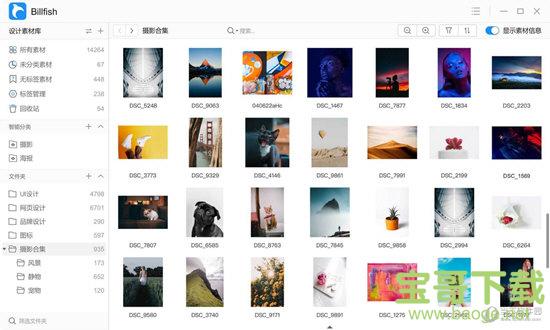 Billfish免费图片素材管理软件 v1.0 官方版