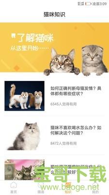 猫咪翻译器下载